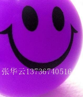 23永固紫RL红光/蓝光